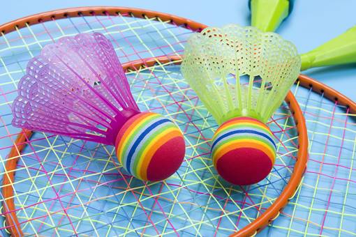 Lsbf Singapore Badminton Tournament