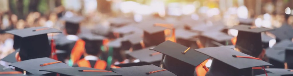 Career after Graduation