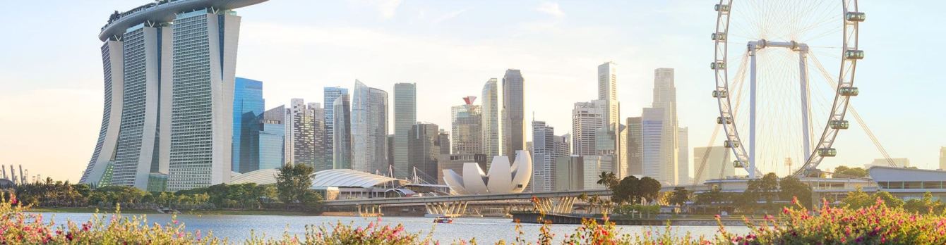 LSBF expands in Asia-Pacific