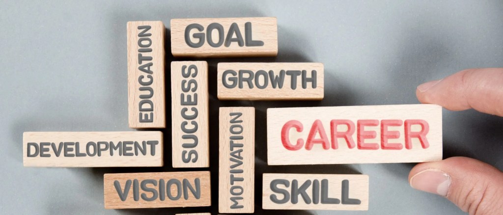 Diploma in IT: Career Opportunities and Further Education